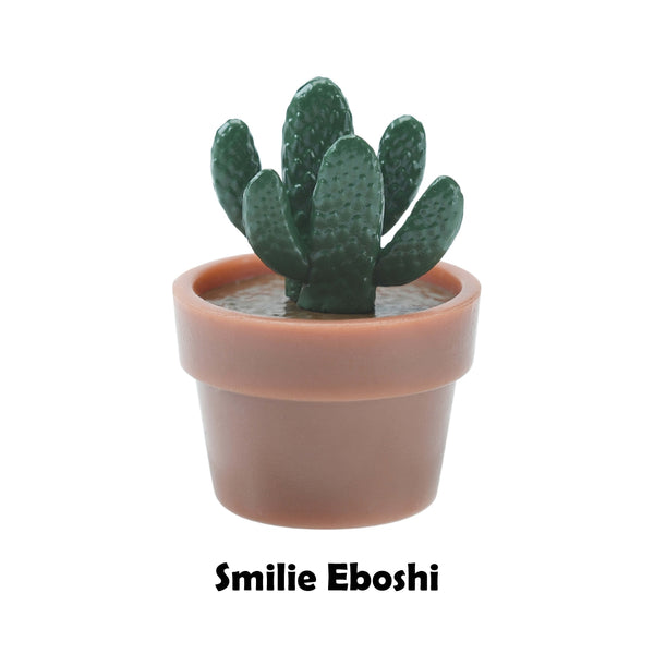 Cactus Model Surprised Egg Bath Bomb