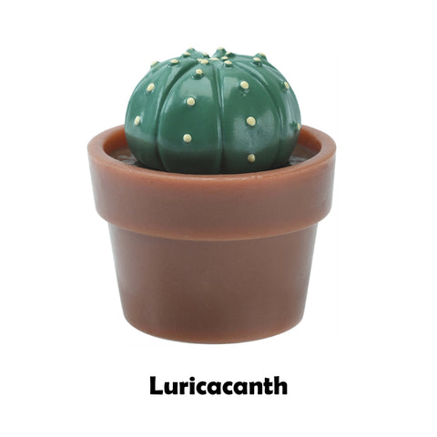 Cactus Model Surprised Egg Bath Bomb